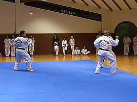 p4900832.jpg