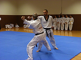 p4900919.jpg