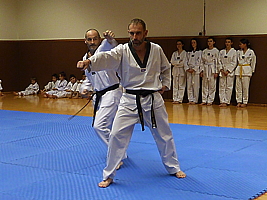 p4900938.jpg