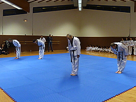 p4910006.jpg