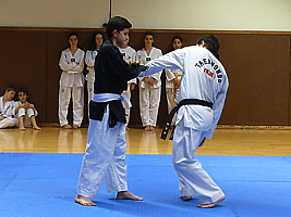 p4910018.jpg