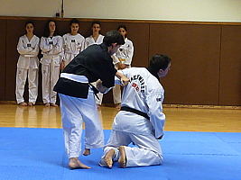 p4910026.jpg