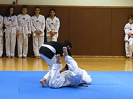 p4910034.jpg
