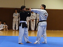 p4910044.jpg