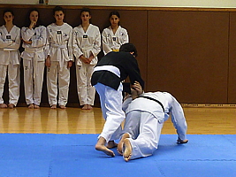p4910067.jpg