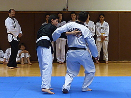 p4910091.jpg