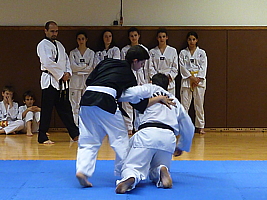 p4910099.jpg