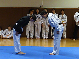 p4910100.jpg