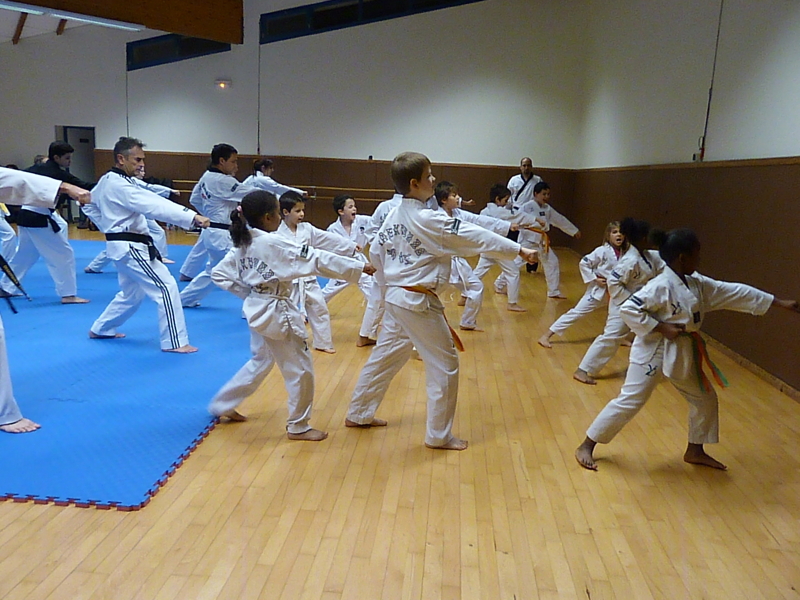 p4890722.jpg