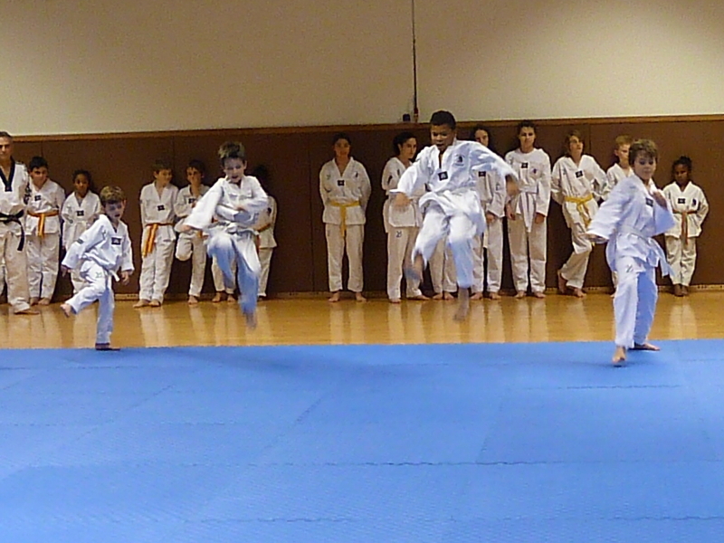p4890826.jpg