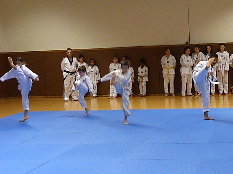 p4890834.jpg