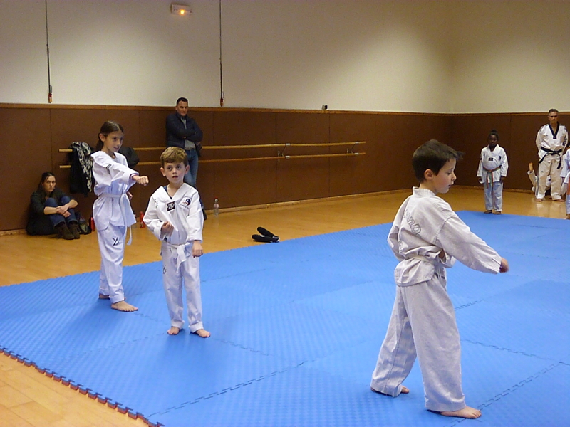 p4890851.jpg