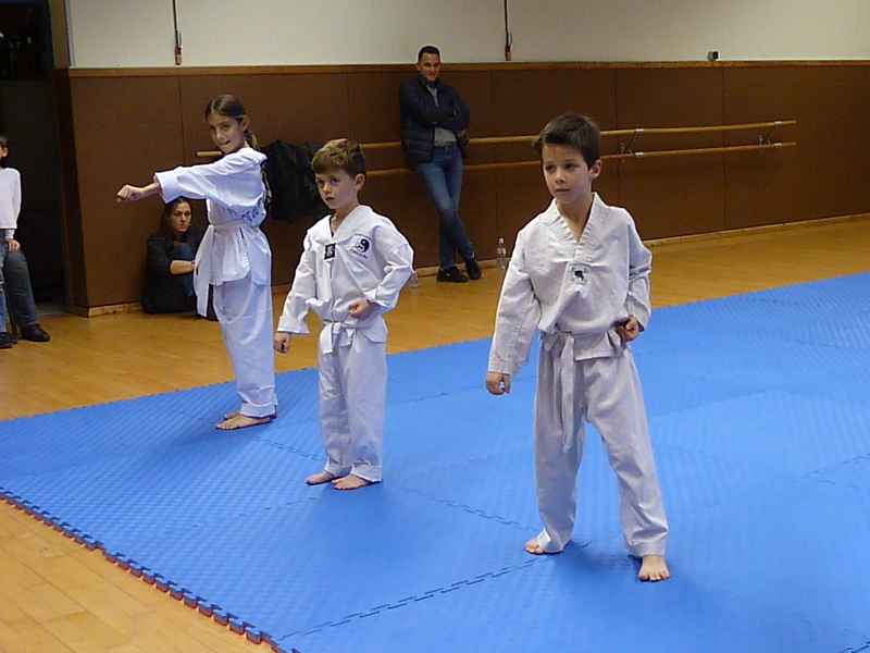p4890856.jpg