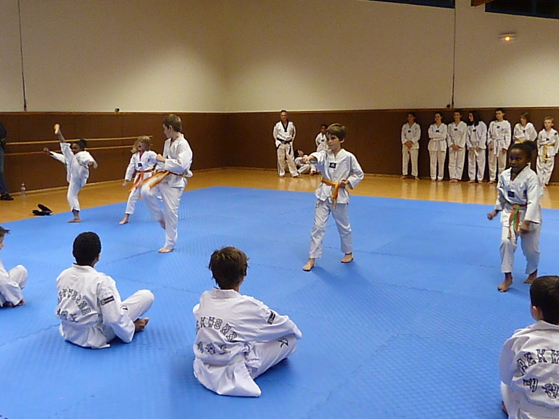 p4890891.jpg