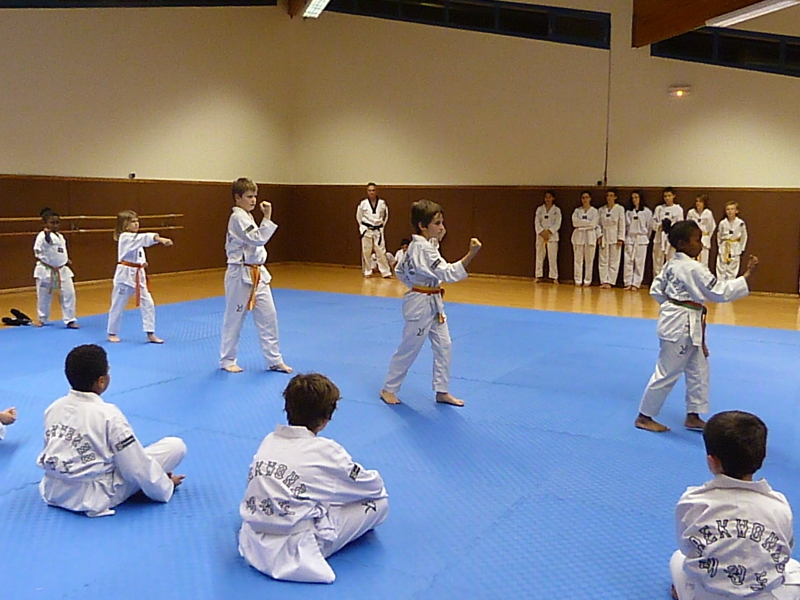 p4890909.jpg