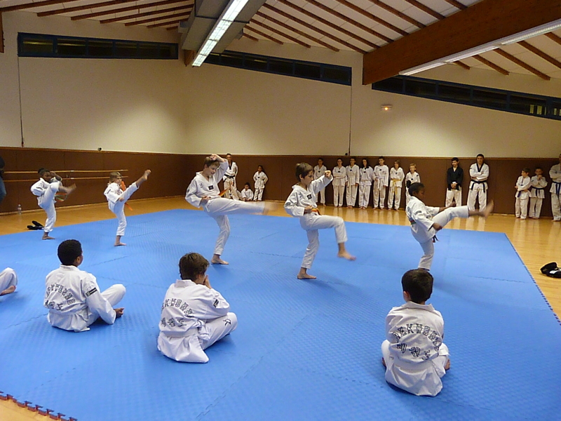 p4890922.jpg