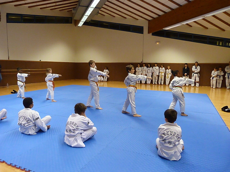 p4890927.jpg