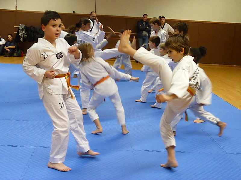 p4900226.jpg