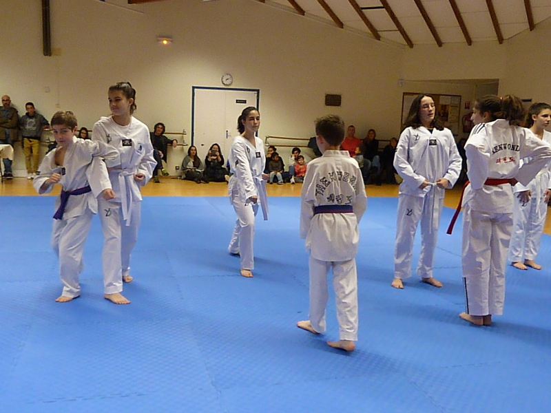 p4900470.jpg