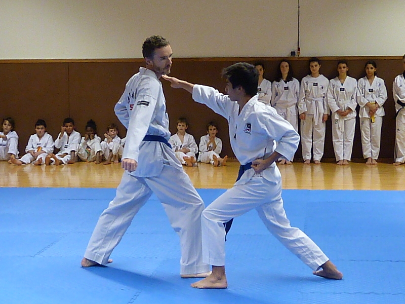 p4900578.jpg