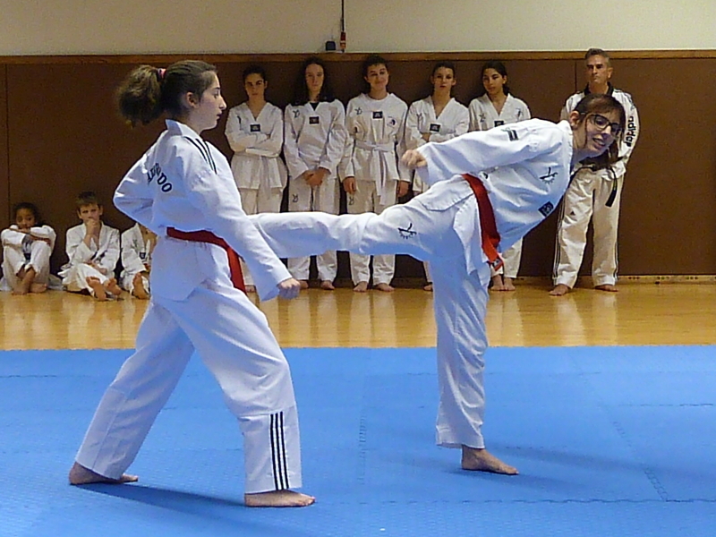 p4900790.jpg