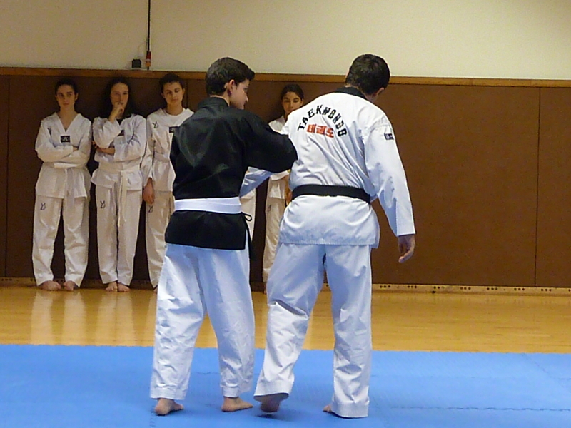 p4910055.jpg