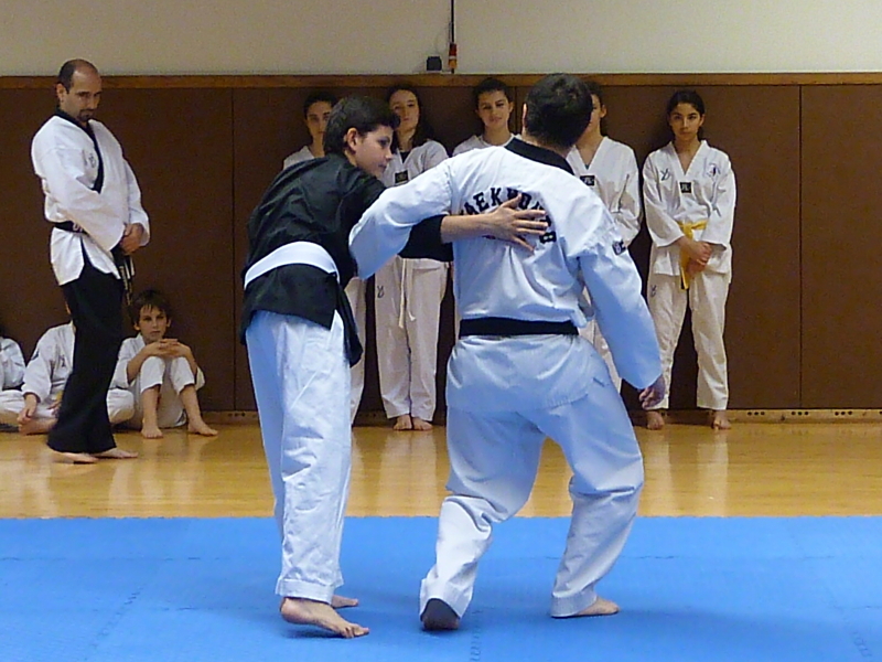 p4910091.jpg