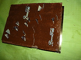 p4680103.jpg