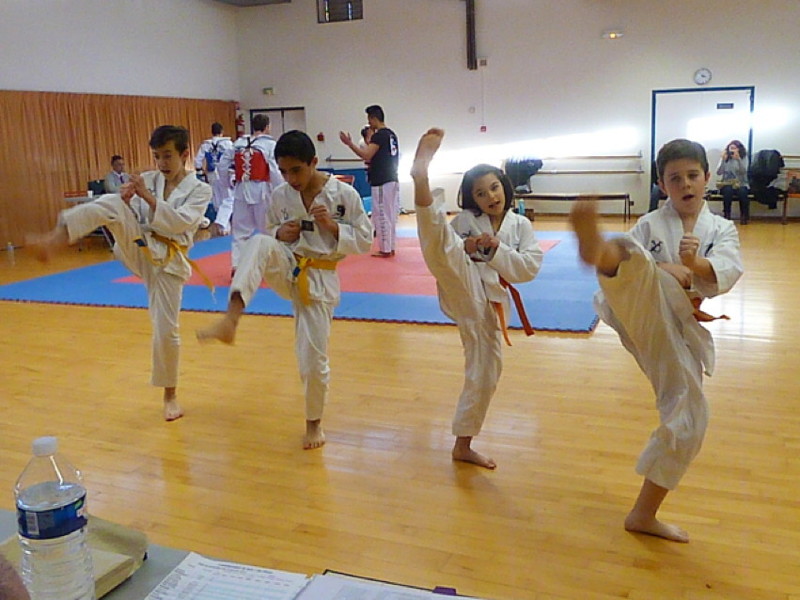 p4370210.jpg