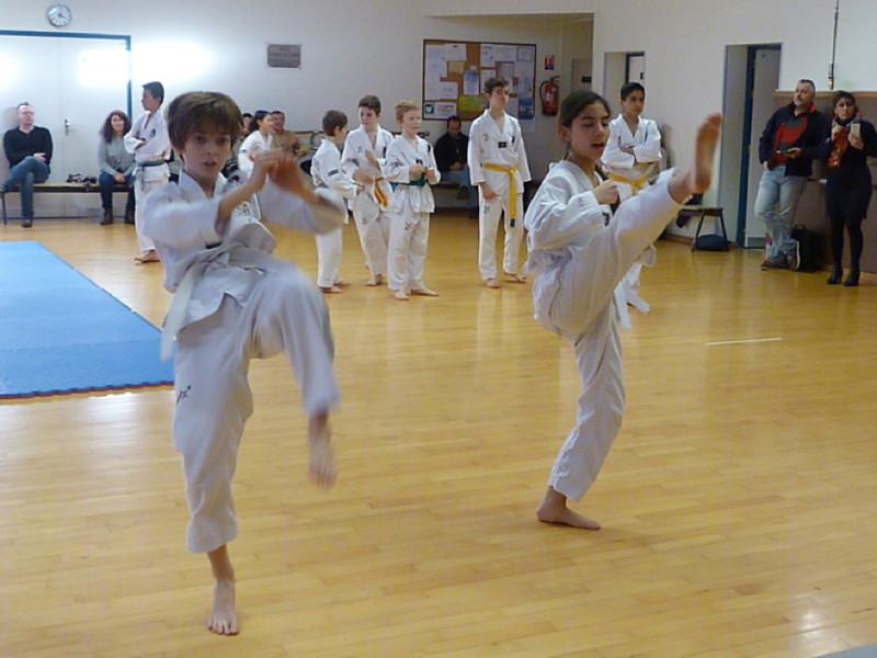 p4370578.jpg