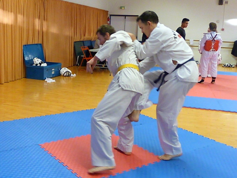p4370878.jpg