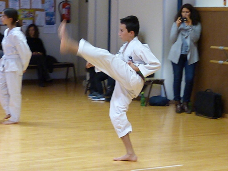 p4380497.jpg