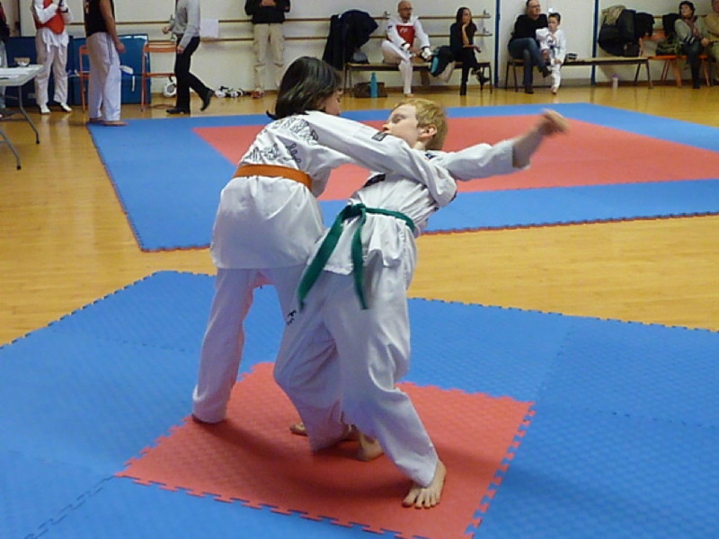 p4380565.jpg
