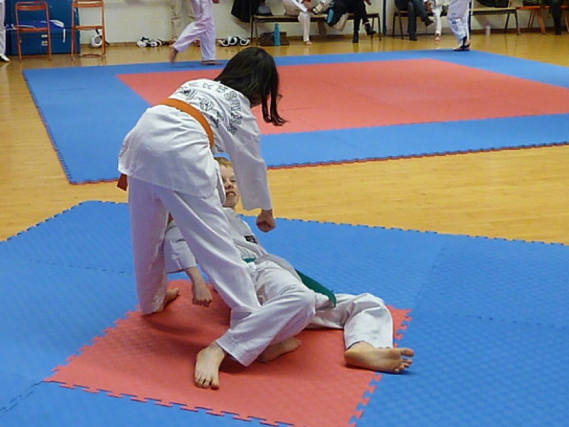 p4380584.jpg