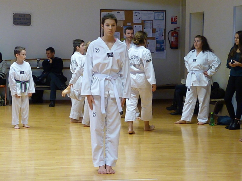 p4390284.jpg