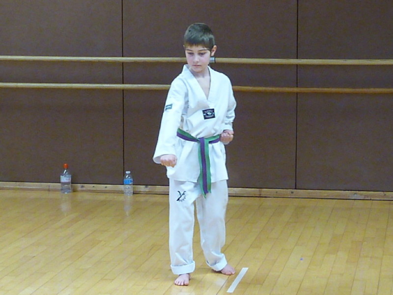 p4390377.jpg