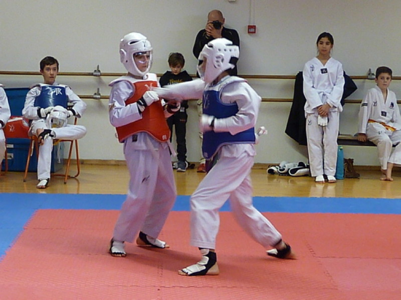 p4390445.jpg