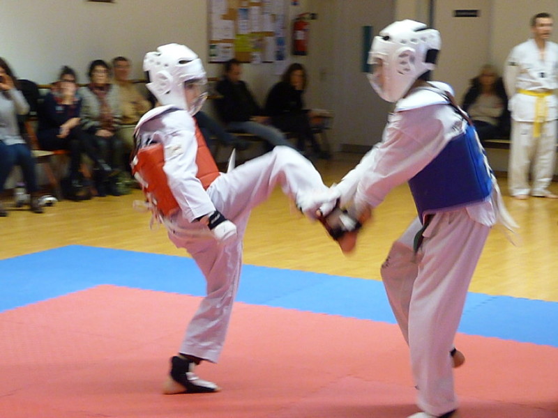 p4390539.jpg