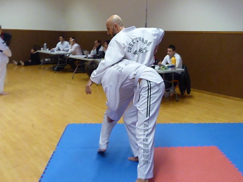 p4390577.jpg