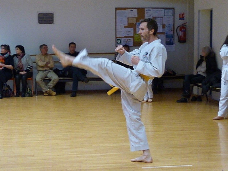 p4390592.jpg