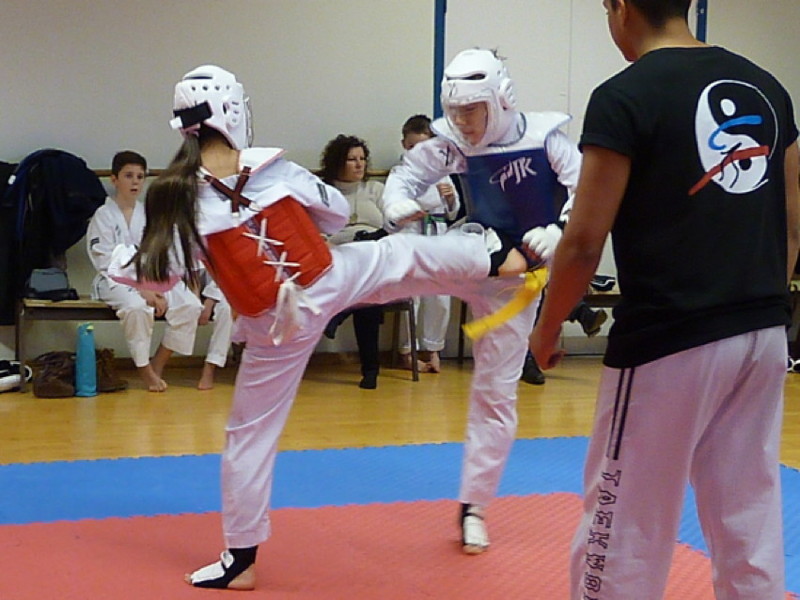 p4390786.jpg