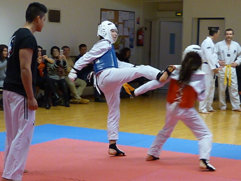 p4390822.jpg