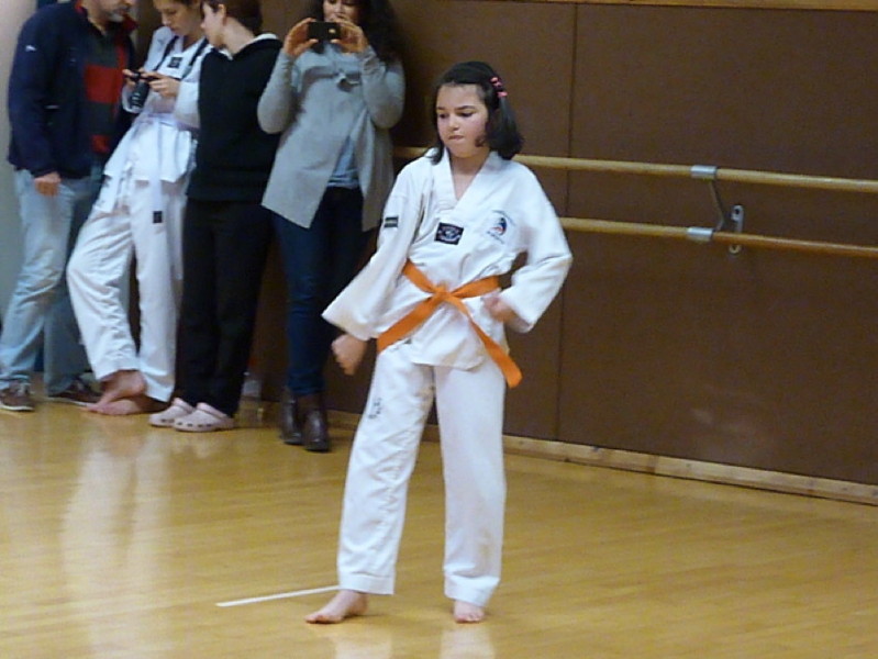 p4400221.jpg