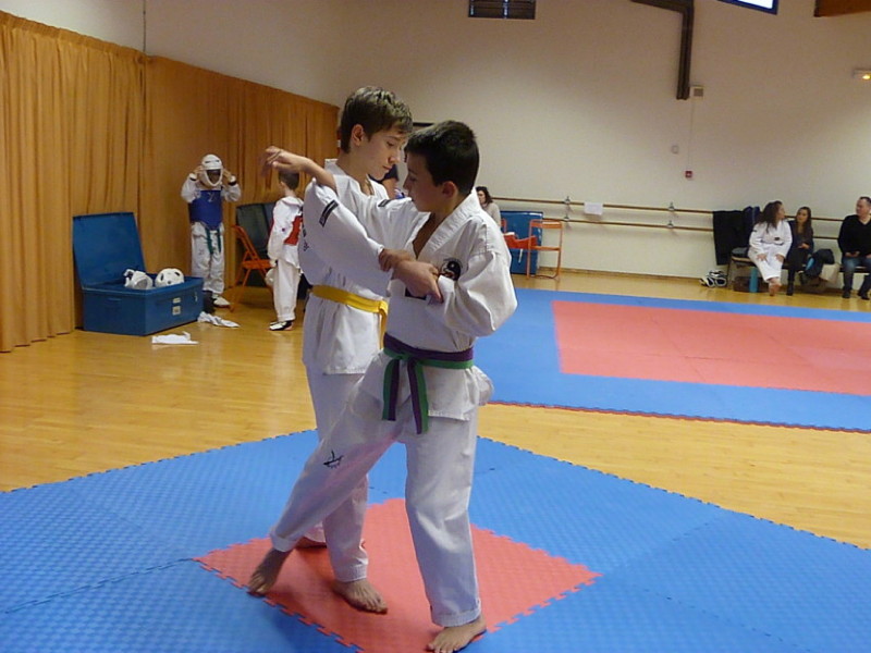 p4400633.jpg