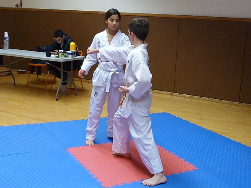 p4410334.jpg