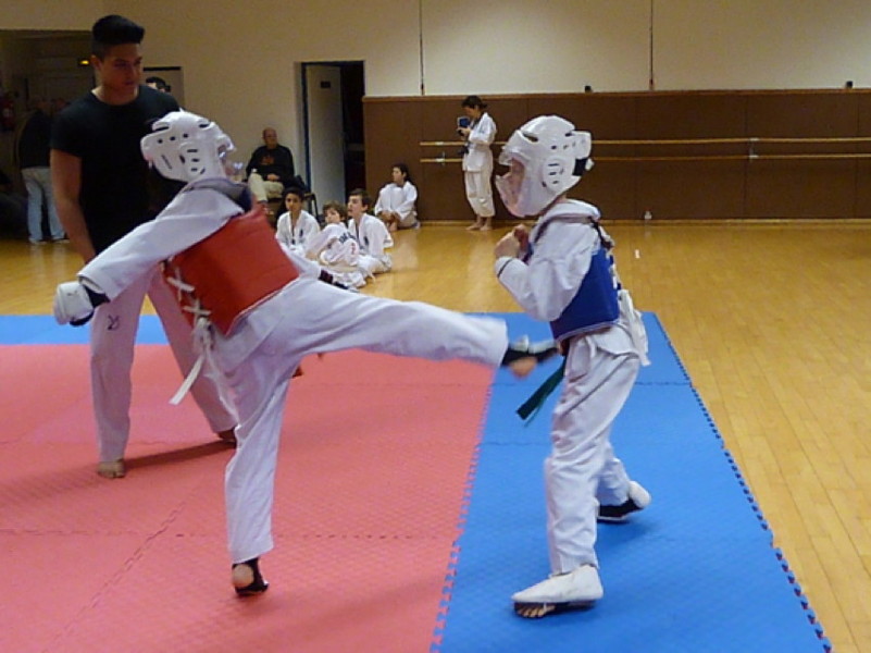 p4410357.jpg