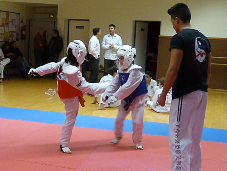 p4410562.jpg