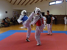 p4370013.jpg