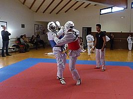 p4370016.jpg