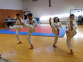 p4370167.jpg